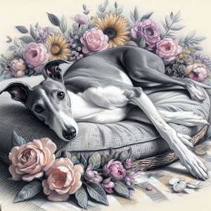 Carte de voeux lévrier, whippet toute occasion