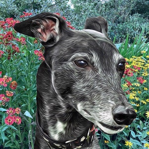 Tarjeta de felicitación de galgo, galgo, lurcher y whippet