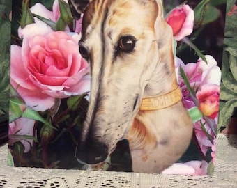 Tarjeta de felicitación de cumpleaños para galgo, whippet y lurcher