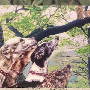 Carte de voeux Greyhound, Lurcher