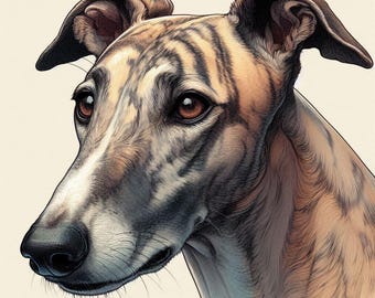 Greyhound Head Study  , Lurcher Greetings Card