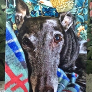 Puede incluir: Un retrato de un galgo con pelaje gris oscuro y marrón, descansando sobre una manta con estampado azul y rojo. El fondo presenta un diseño floral con hojas azules y un pájaro amarillo.