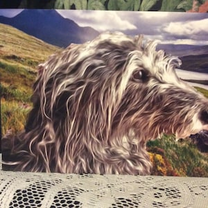 Lurcher Greyhound-verjaardagskaart