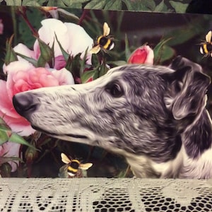 Tarjeta de felicitación para cualquier ocasión: galgo, galgo, lebrel.