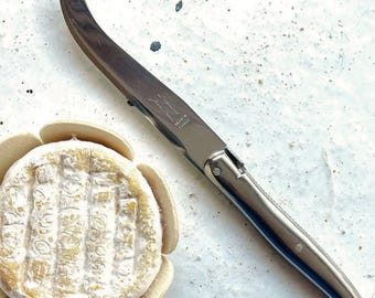 Laguiole Cheese Knife - Stainless Steel, Made in France