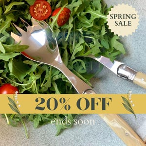 Juego de cubiertos para ensalada Laguiole, acero inoxidable, mango ABS, cubiertos de ensalada artesanos, 4 colores, cubertería francesa