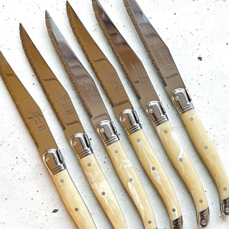 Laguiole knives ABS handle made in France