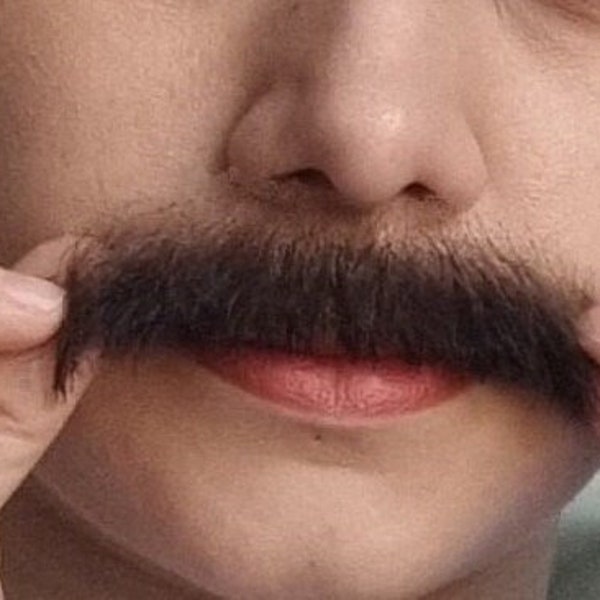 Moustaches | Postiche