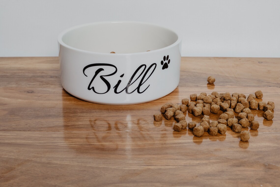 Personalised Dog Bowl Gift for dogs. Ceramic pet bowl food Etsy