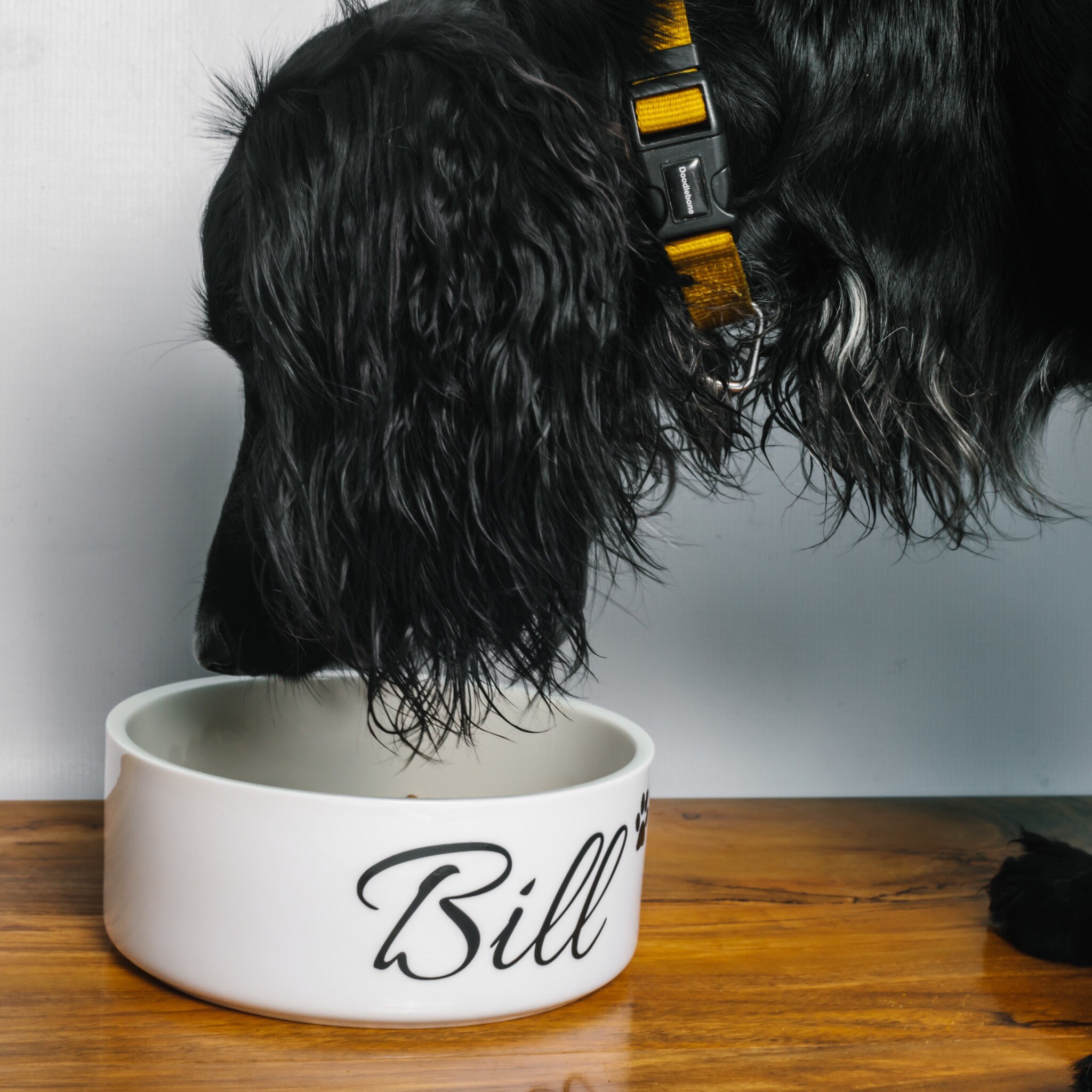 Personalised Dog Bowl Gift for dogs. Ceramic pet bowl food Etsy