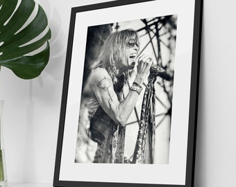 Steven Tyler Aerosmith