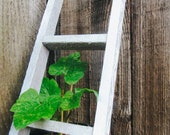 Plant Ladder Rustic Plant Trellis Garden Trellis Rustic Blanket Ladder Towel Ladder Hand Towel Holder Vine Trellis Ladder