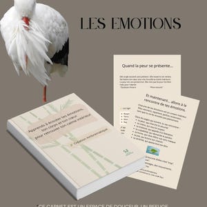 May include: A book titled "Learn to listen to your emotions, your body and your heart to find your inner calm" with a stork and text in French. The book is cream-colored with green bamboo-like designs.