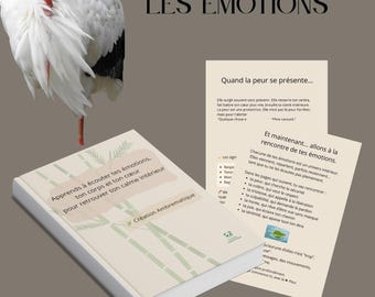 Kalmerend emotioneel dagboek PDF · 46 pagina's · Rituelen, begeleid schrijven, persoonlijke ontwikkeling, introspectief dagboek, welzijn