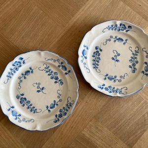 Antique French 18th Century Plate, White-Glazed Brindille Hand Paint Decoration image 19