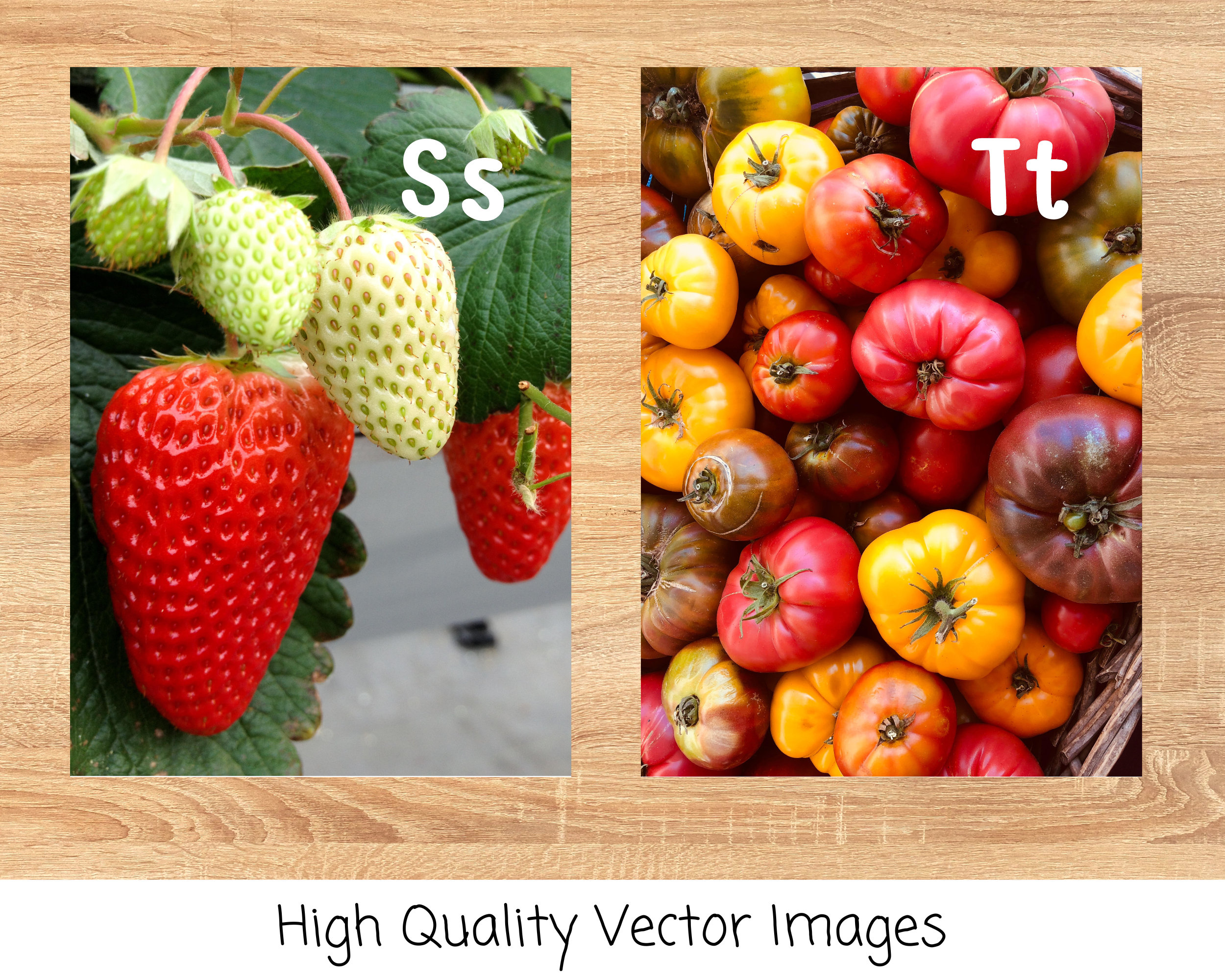 Fruit & Vegetable Alphabet Posters Montessori Reggio AZ Photo Cards