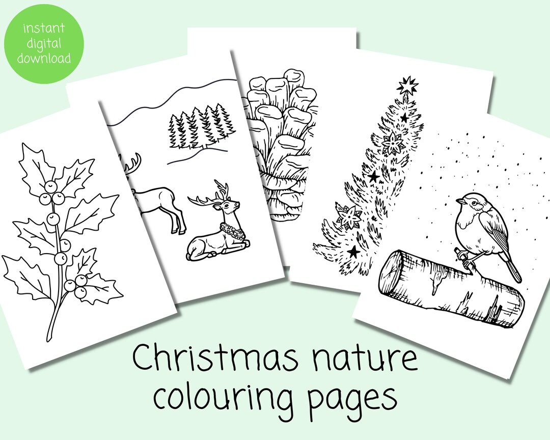 Christmas Nature Colouring Pages | Winter Wildlife Colouring Sheets ...