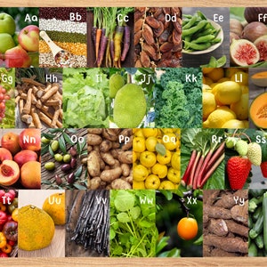Obst & Gemüse Alphabet Poster | Montessori Reggio A-Z Fotokarten mit hochwertigen Bildern