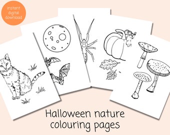 Halloween Wildlife Colouring Pages | Autumn Nature Colouring Sheets | Instant Download