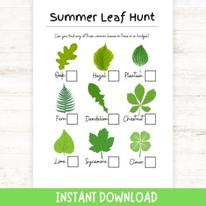 May include: A printable summer leaf hunt activity sheet with illustrations of different types of leaves, including oak, hazel, plantain, fern, dandelion, chestnut, lime, sycamore, and clover.  The sheet has checkboxes next to each leaf name for kids to mark off as they find them.
