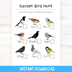 Bird Hunt Printable for Kids | I-Spy of Common British Garden Birds