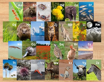 Natural World Alphabet Posters | Montessori Reggio Animals Nature Photo A-Z | Instant Digital Download