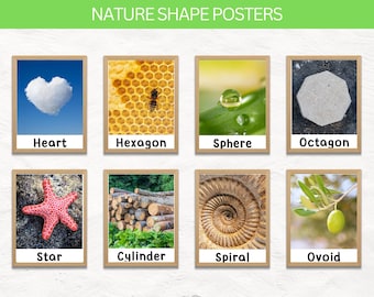 Montessori Nature Shape Posters | Instant Download