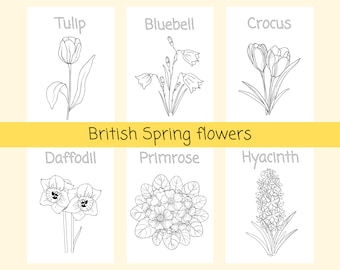 Spring Flower Colouring Pages | Daffodil, Tulip, Primrose, Hyacinth, Crocus, Bluebell | Floral Colouring Sheets