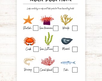 Rock Pool Hunt for Kids | Seaside Holiday I Spy Game | Instant Download