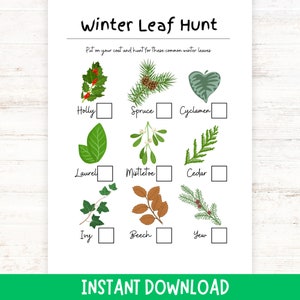 Winter Leaf Hunt for Kids | Winter I-Spy Game | Forest School Printable