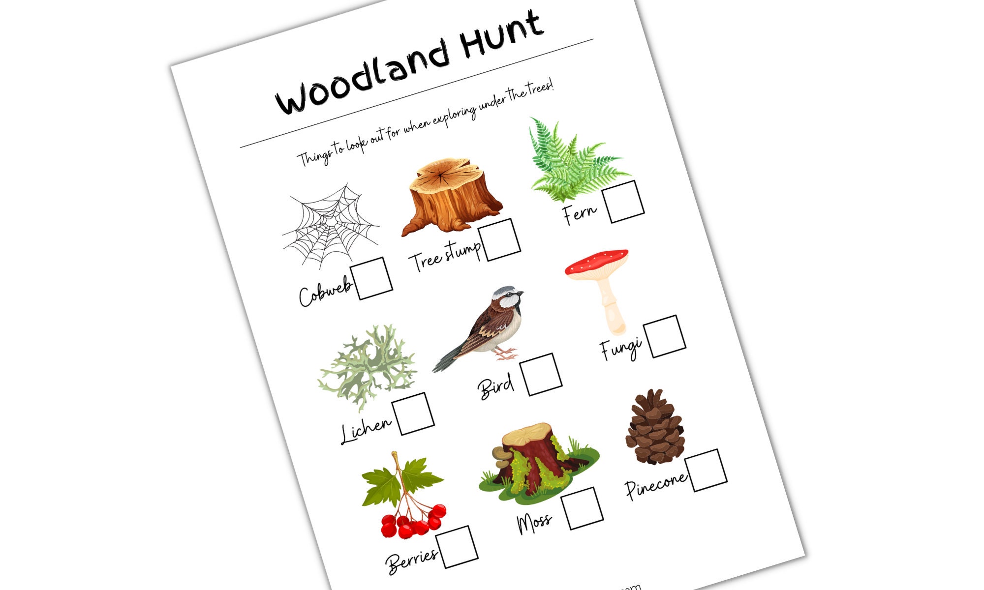 Woodland Nature Hunt British Wildlife I Spy Game Printable - Etsy