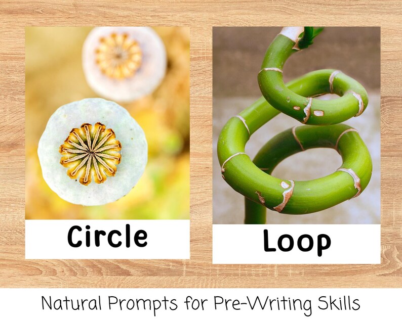 Nature Pre-writing Shapes | Nature Shape Posters | Home Ed Resource ...