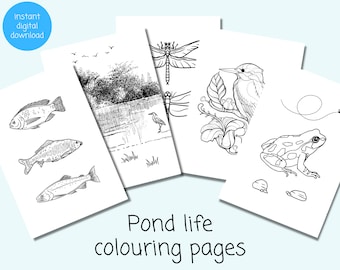 Pond Life Coloring Pages: British Pondlife Colouring Sheets (Instant Download)
