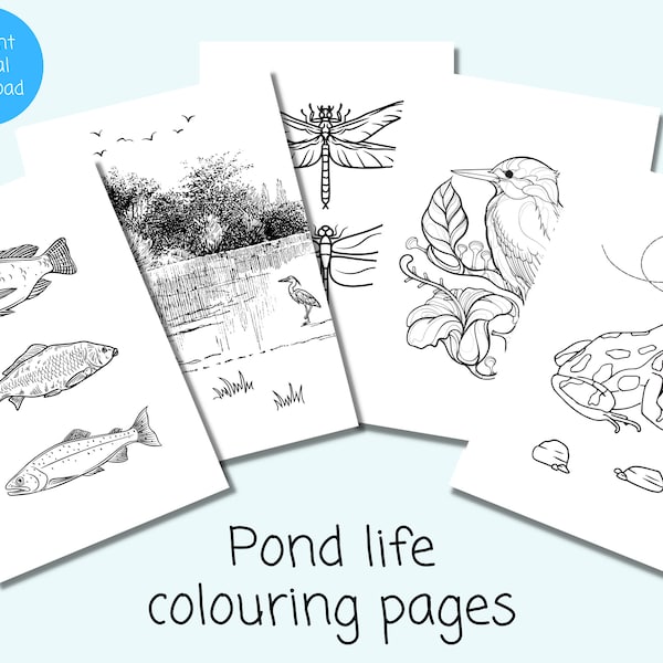 Pond Life Colouring Pages | 5 x Pond Animal Colouring Sheets | Instant Download