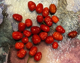 10+ Piquin Chili Pepper Seeds -Small But Mighty