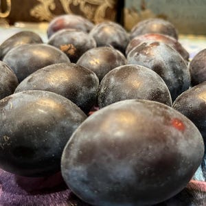 Damson Plum Tree 3 Seeds -Prune Plum