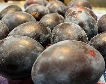 Ciruelo Damson (3 semillas) - Ciruela pasa