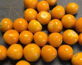 10 graines de Groseille du Cap -Physalis peruviana