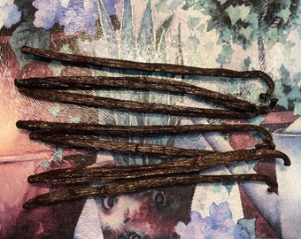 2 Madagascar Vanilla Pods -Grade B Make Extract, or to Grow