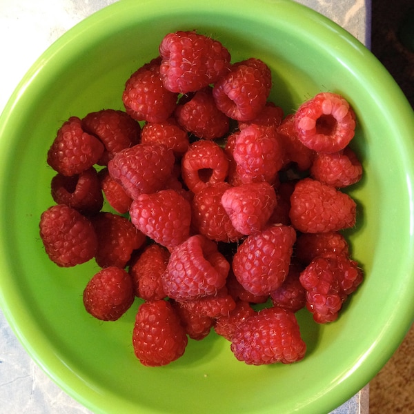 15 Heritage Red Raspberry Seeds