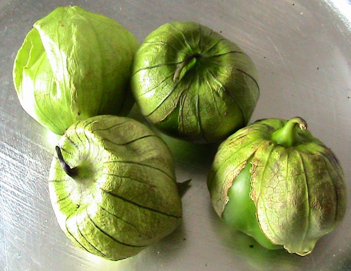 10 Green Tomatillo Seeds Etsy