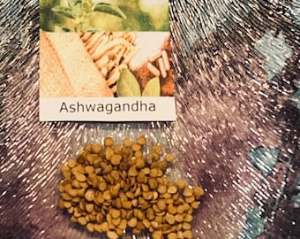 10 Ashwagandha Seeds -Witania Somnifera