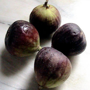 May include: Four ripe figs, two with dark purple skin and two with green skin, on a white marble surface.