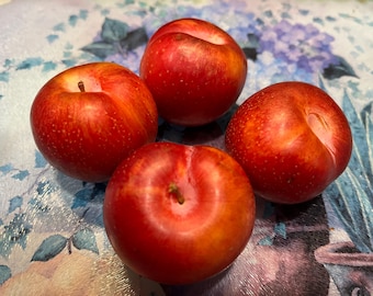 Ciruelo rojo (3 semillas)
