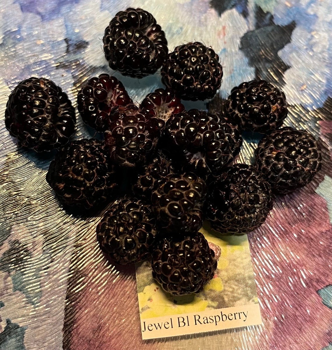 10+ Jewel Black Raspberry Seeds -large Berries - Etsy