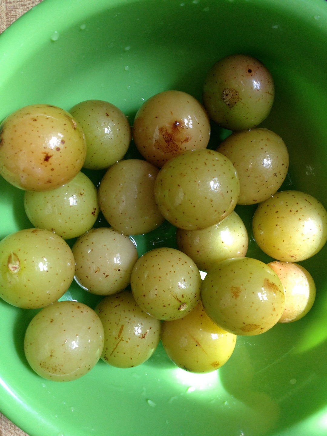 3 Pack Grape Seeds Gift Bundlewhite Muscadine, Big Red, and White