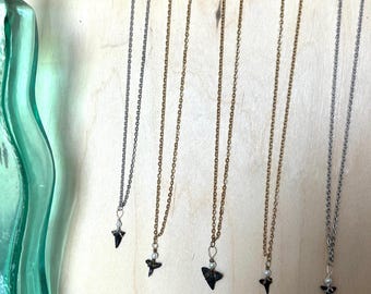 Shark Tooth Necklace