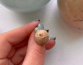 Shell Ring