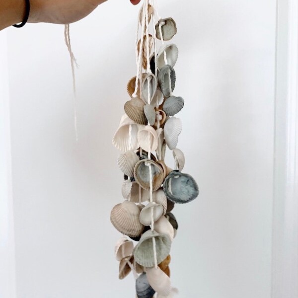 Single Seashell Hanger