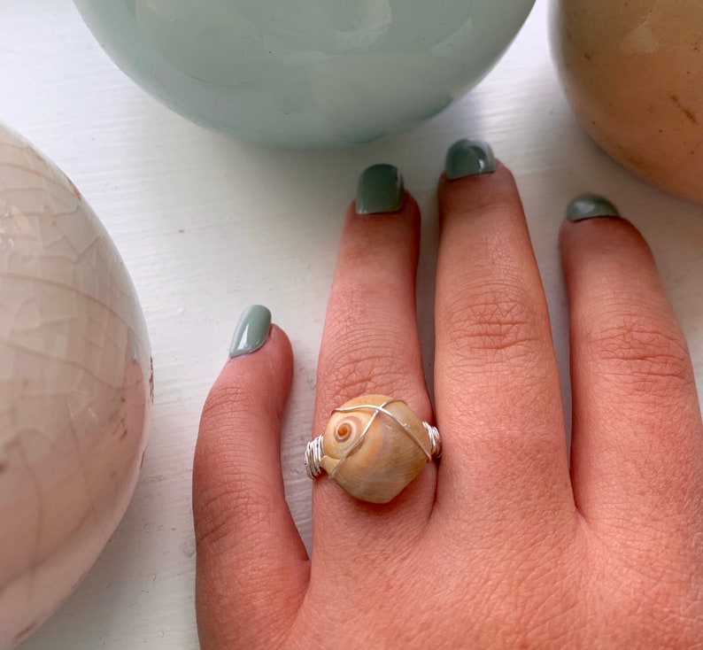 K&ouml;nnte beinhalten: Ein Ring aus silbernem Draht, der mit einer beigefarbenen Muschel als Mittelst&uuml;ck umwickelt ist. Der Ring befindet sich an einem Finger.